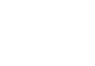 TRANSLINE GLOBAL LOJİSTİK